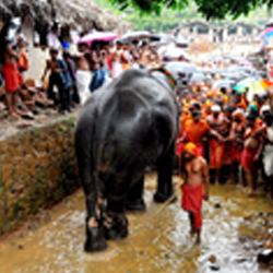 kottiyoor Devaswom