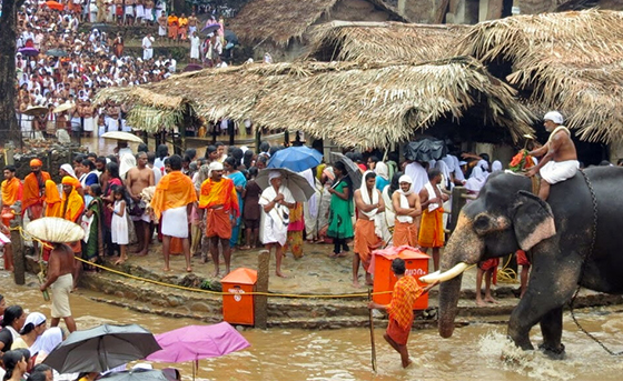 kottiyoor devaswom