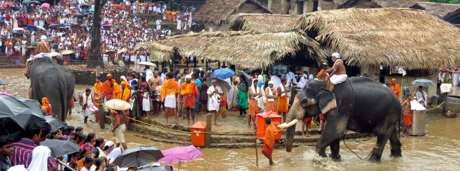 kottiyoor devaswom