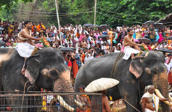 Kottiyoor Devaswom