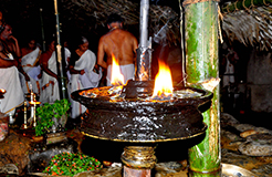 Kottiyoor Devaswom