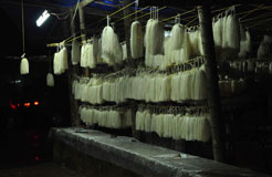 Kottiyoor Devaswom