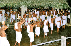 Kottiyoor Devaswom