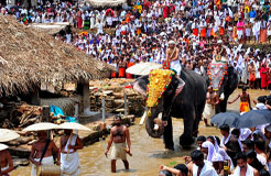 Kottiyoor Devaswom