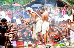 Kottiyoor Devaswom