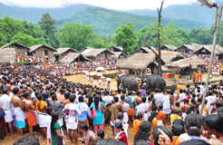 Kottiyoor Devaswom