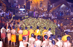 Kottiyoor Devaswom
